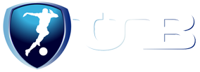 UB Menajerlik